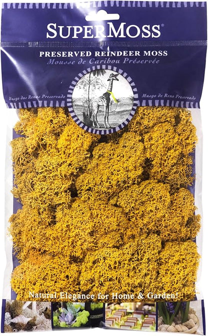 Super Moss (25125) Reindeer Moss Preserved, Mango, 2oz