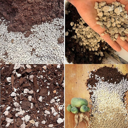Horticultural Pumice for Plants Professional Sifted (8QT, 3/8 inch)