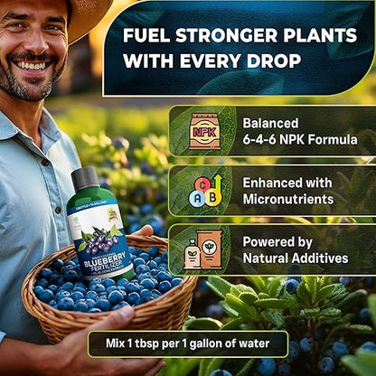 Leaves and Soul Professional Blueberry Fertilizer Liquid Concentrate - 6-4-6 Blend Liquid Garden Fertilizer for Blueberries - Plant Food for Blueberry Bushes and Plants - 8oz
