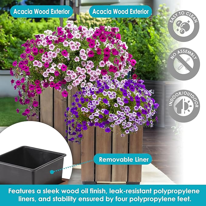 Sunnydaze Indoor/Outdoor Wooden Planter Boxes - 2 Acacia Wood Square Plant Pots with Plastic Liners - Anthracite Stain