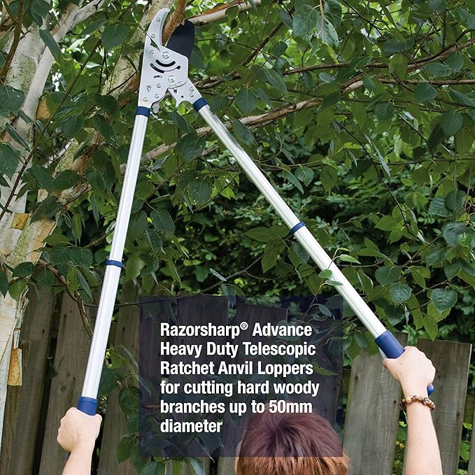 Spear & Jackson 8290RS Razorsharp Heavy Duty Telescopic Ratchet Anvil Loppers, Multicoloured