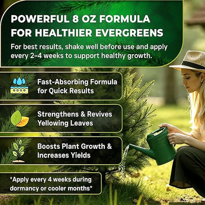 Leaves and Soul Professional Evergreen Tree Fertilizer Liquid Concentrate - 6-4-6 Blend for Evergreens, Garden Use - Liquid Plant Food for Evergreen Trees and Shrubs Outdoors - 8oz