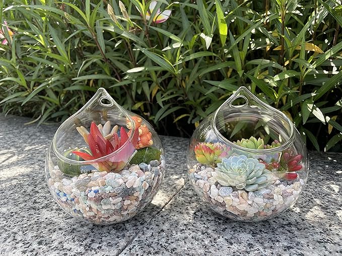 Propagation Station, Plants Terrarium, Plants Lover Gifts for Women,Plant Cutting Holder Home décor,Gifts for Women,House Warming New Home-3 Globe Shape