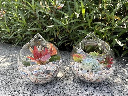 Propagation Station, Plants Terrarium, Plants Lover Gifts for Women,Plant Cutting Holder Home décor,Gifts for Women,House Warming New Home-3 Globe Shape