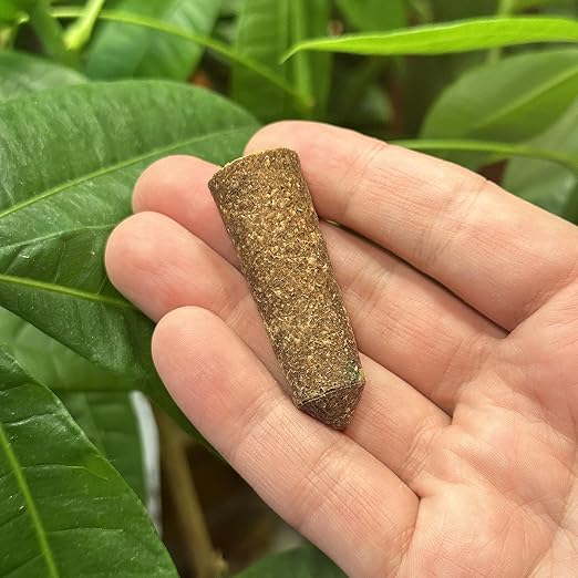 The Old Farmer's Almanac Houseplant & Flower Plant Food Mini Spikes - NPK 5-5-5 for Continuous Feeding and Vibrant Colors (24 Mini Spikes)