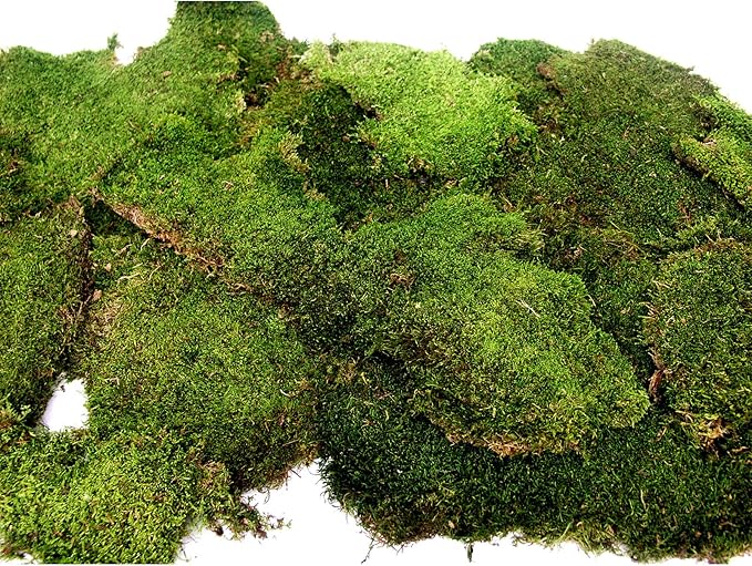 SuperMoss (21485) Sheet Moss – Flat Moss for Plants, Terrariums, Wedding Decor & Crafts, Safe, Non-Toxic, Long-Lasting Green Moss for Indoor Plants, Vivariums & Green Wall Art, 175 Cu. in., Preserved
