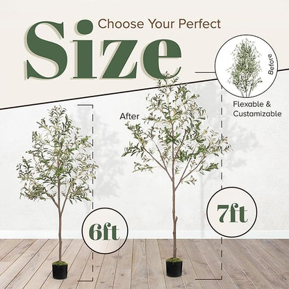 Olive Trees Artificial Indoor 6FT Tree with Rechargeable LED Spotlight, Decorative Moss & Weighted Pot – Tall Realistic Olive Plant for Home, Office, or Event Décor (6FT)
