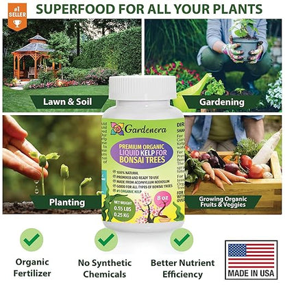 GARDENERA Premium Organic Seaweed & Kelp Superfood for Bonsai Trees Plants - 32 oz - Liquid Kelp Fertilizer Concentrate (Makes 180 Gallons)