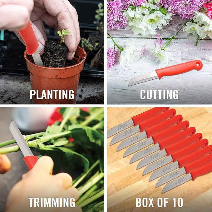 Clauss fixed blade Straight Floral Knives, Comes in a Box of 10