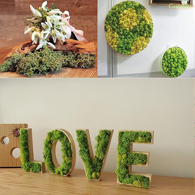 Preserved Moss 1.1lb Artificial Moss for Potted Plants Natural Fresh Green Moss for Crafts Fake Moss Arts Floral Orchid Moss Wall Decor Wedding Centerpieces Garden Terrariums Christmas Decoration