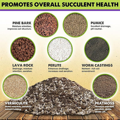 DUSPRO Succulents Soil Potting Mix – 7 in 1 Ingredients Well-Draining, Nutrient-Rich Cactus Potting Soil for Succulents and Cacti, Indoor & Outdoor Use, Ready to Use, Supports Healthy Root Growth, 2QT