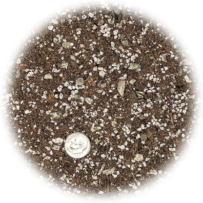 Gardenera African Violets and Gesneriad Premium Soil Mix - Horticultural Perlite (25%) + Vermiculite (25%) + Sphagnum Peat Moss (50%) - Made in USA - (2 Quart Bag)