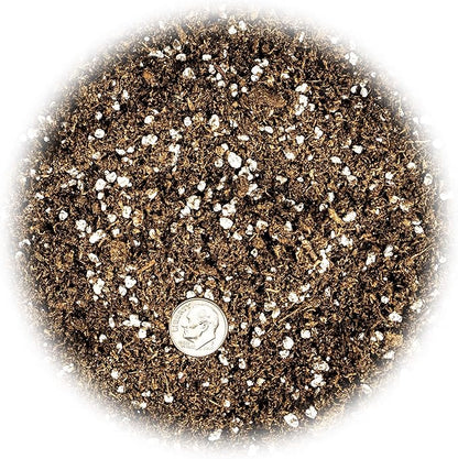 Gardenera Premium Organic Potting Soil, Succulent & Cactus Soil Mix, Fast Draining Pre-Mixed Blend - Horticultural Perlite (25%) + Peat Moss (75%) - Made in USA - 1 Quart