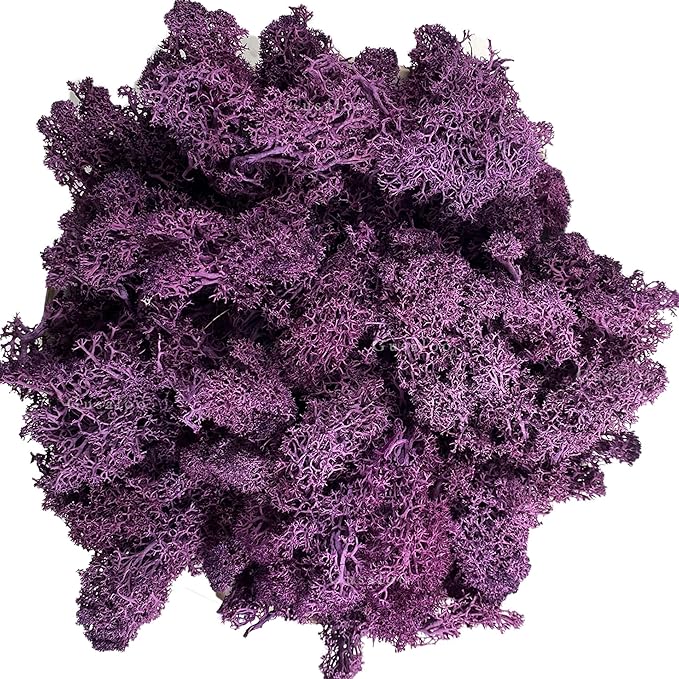 Moss Preserved Moss Natural Fresh Green Moss for Craft Arts Floral Project Wall Decor Table Decor Wedding Centerpieces Garden Artificial Terrariums Decoration- Purple 3.5OZ