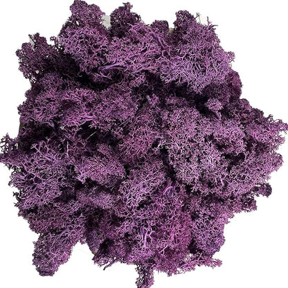 Moss Preserved Moss Natural Fresh Green Moss for Craft Arts Floral Project Wall Decor Table Decor Wedding Centerpieces Garden Artificial Terrariums Decoration- Purple 3.5OZ