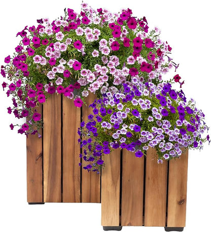 Sunnydaze Indoor/Outdoor Wooden Planter Boxes - 2 Acacia Wood Square Plant Pots with Plastic Liners - Light Brown Stain