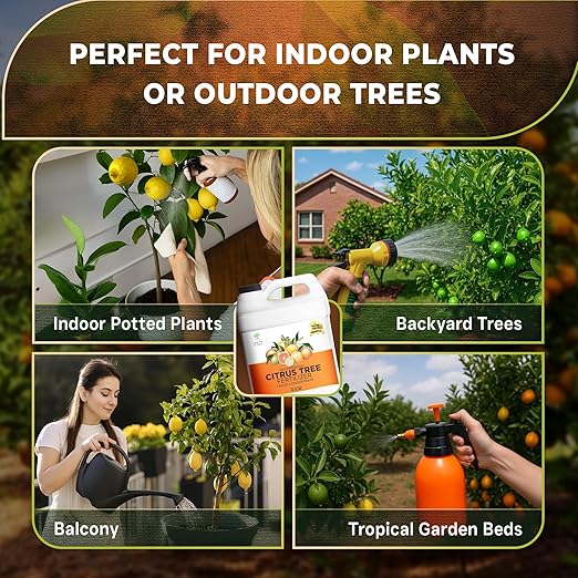 Leaves and Soul Professional Citrus Tree Fertilizer Liquid Concentrate - 6-4-6 Blend for Fruit Tree Fertilizer, Garden - Liquid Plant Food for Citrus Trees in Pots or Outdoors - 32oz
