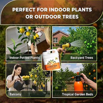 Leaves and Soul Professional Citrus Tree Fertilizer Liquid Concentrate - 6-4-6 Blend for Fruit Tree Fertilizer, Garden - Liquid Plant Food for Citrus Trees in Pots or Outdoors - 32oz
