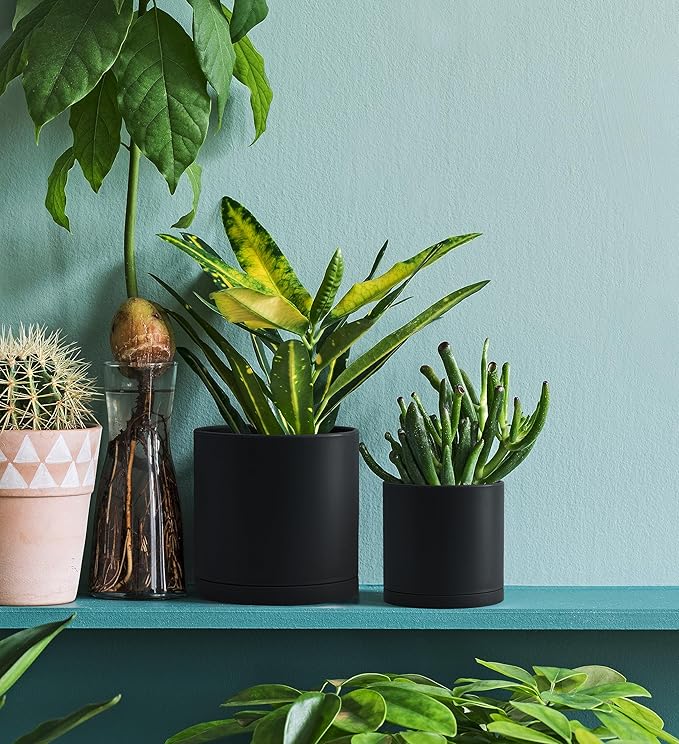 D'vine Dev 2 Pack 4.5 Inch Modern Plastic Plant Pots, Small Garden Planters for Plant with Drainage Holes and Saucers, Black Color, 74-Y-F-1