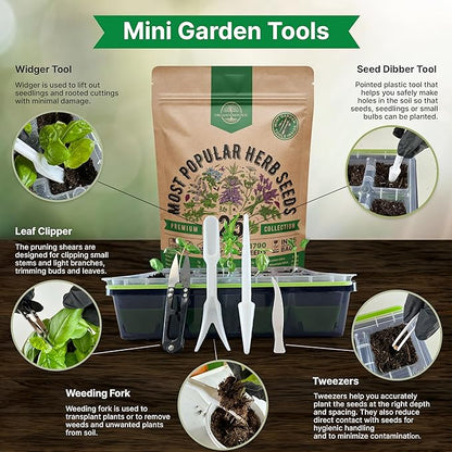 25 Most Popular Herb Seeds Variety Pack - 11,700 Non-GMO Heirloom Seeds for Planting Herbs in Individual Seed Packets for Hydroponic, Indoor & Outdoor Gardening