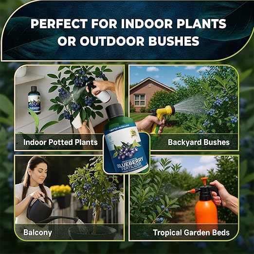 Leaves and Soul Professional Blueberry Fertilizer Liquid Concentrate - 6-4-6 Blend Liquid Garden Fertilizer for Blueberries - Plant Food for Blueberry Bushes and Plants - 8oz
