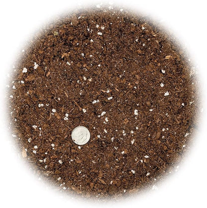 GARDENERA Money Tree Potting Soil - 10 Quart - Soil Mix for Planting or Repotting Guiana Chestnut, Blended Mix to Properly Grow Money Tree Plants (2 Bags of 5 Quart)