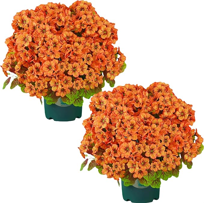 QIANYUN Artificial Topiary for Outdoors- 20” Potted Plant Fake Geraniums Bush-UV Resistant Artificial Outdoor Plant for Front Porch, Garden, Yard, Patio Decor (Light Orange)