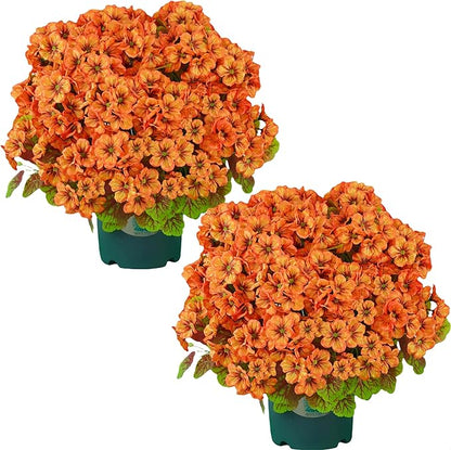 QIANYUN Artificial Topiary for Outdoors- 20” Potted Plant Fake Geraniums Bush-UV Resistant Artificial Outdoor Plant for Front Porch, Garden, Yard, Patio Decor (Light Orange)