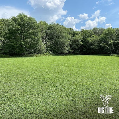 Big Tine Food Plot Mix, Deer Attractant, Foundation Clover, Premium Clover Mix, 4 lbs Bag, Perennial, Great for Food Plots, High Drought Tolerance