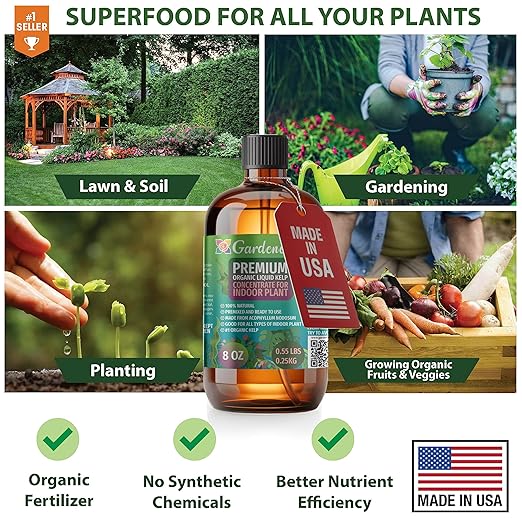 GARDENERA Premium Organic Seaweed & Kelp Superfood for Tomato Plants - 8 oz - Liquid Kelp Fertilizer Concentrate (Makes 45 Gallons)