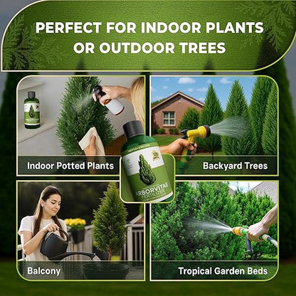 Leaves and Soul Professional Arbor Vitae Tree Fertilizer Liquid Concentrate - 6-4-6 Blend for Arbor Vitae, Garden Use - Liquid Plant Food for Arbor Vitae Trees and Shrubs Outdoors - 8oz