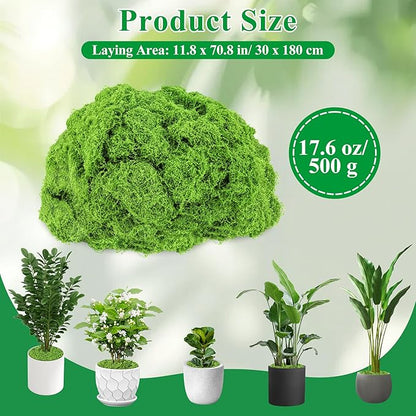 Anglekai 17.6 oz Artificial Moss for Crafts, Decorative Artificial Fake Green Moss for Plants Indoor(500 g) (17.6, Ounces)