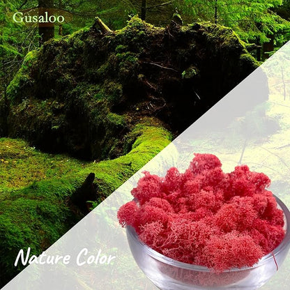 Moss Preserved Moss for Potted Plants Natural Fresh Green Reindeer Moss for Craft Arts Floral Wall Decor Decor Wedding Centerpieces Garden Artificial Terrariums Decoration for Christmas-Purple Red