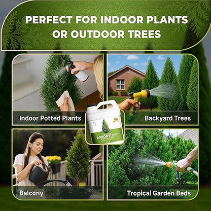 Leaves and Soul Professional Arbor Vitae Tree Fertilizer Liquid Concentrate - 6-4-6 Blend for Arbor Vitae, Garden Use - Liquid Plant Food for Arbor Vitae Trees and Shrubs Outdoors - 32oz