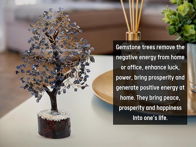 Iolite Natural Healing Premium Crystal Bonsai Feng Shui Fortune Money Tree of Life for Home Office Decor (Gift Box Ready,10-12 Inch)