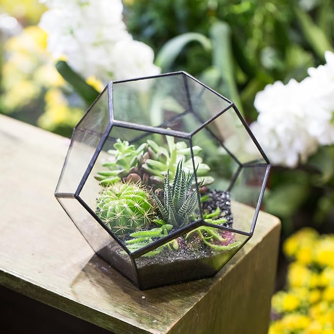 NCYP Small Open Terrarium Planter - 6.89" x 6.89" x 5.9" Pentagon Geometric Glass Container Pot for Succulents, Air Plants - Home Garden Tabletop Miniature Decor, Black (No Plants)