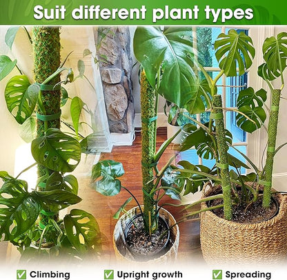 DUSPRO 2 Pack 25’’ Mesh Moss Pole for Climbing Plants, Natural Moss Pole Monstera Plant Support, Real Moss Poles for Plants Indoor, Moss Stick for House Plants, Moss Stakes for Climbing Plants