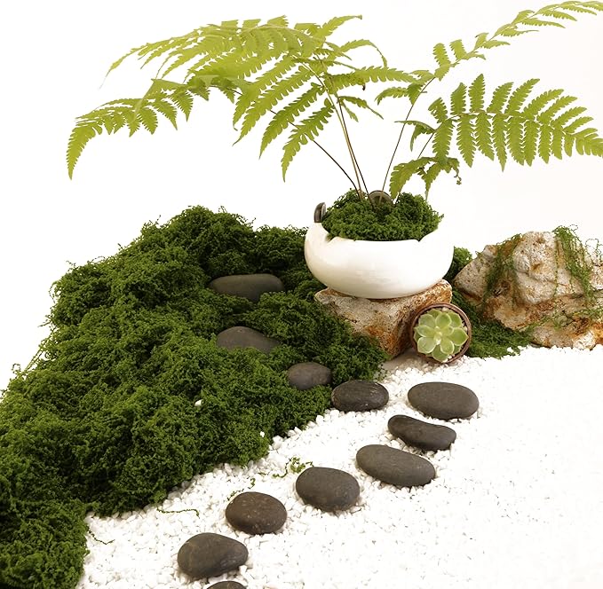 Caiyjhao Simulated Green Moss Crafts, Flowerpot Decorative Fillers, Green Decorations in The Center of The Dining Table, Indoor Flowerpots, DIY ，Weddings, Easter, Party Decorations (5.29 Oz)