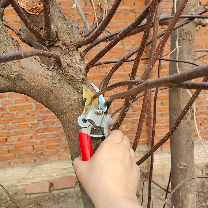 Pruning Shears for Gardening, Garden Scissors and Clippers, Professional Branch Garden Secateurs (Red-grey)
