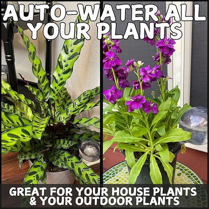 Water Globes for Watering Plants Automatically - Shatterproof & Weatherproof Self-Watering Stakes - Water Bulbs for Indoor & Outdoor Plants - Keeps Soil Moist & Plants Happy