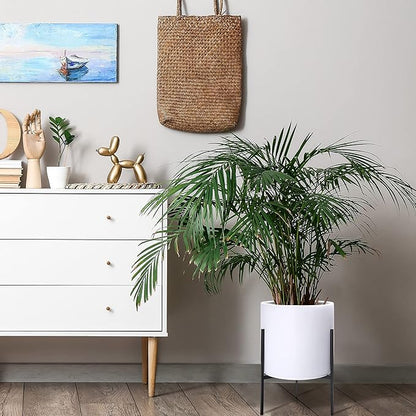 D'vine Dev Modern White Plants Pot Cylinder Planter with Heavy Duty Stand, Large 12 Inch Pot, 18.9 Inch with Stand Height, 96-T-A-3