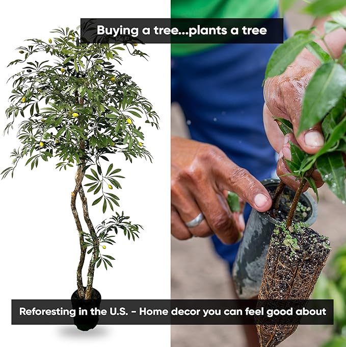 Cypress & Alabaster Handmade 6ft Mediterranean Olive Artificial Tree with Ethically Sourced Real Wood Trunks, Hypoallergenic, 6-Foot, Green