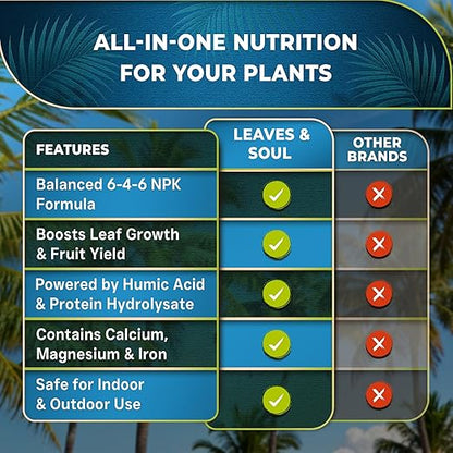 Leaves and Soul Professional Palm Tree Fertilizer Liquid Concentrate - 6-4-6 Blend for Tropical Plant Fertilizer, Garden Use - Liquid Plant Food for Palm Trees and Bushes Outdoors - 32oz