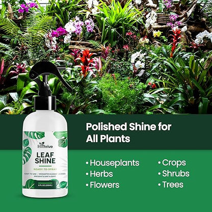 8oz Leaf Shine Spray for Indoor Plants - Plant Leaf Cleaner and Shine for Indoor Houseplants - Makes Leaves Shiny, Vibrant & Healthy