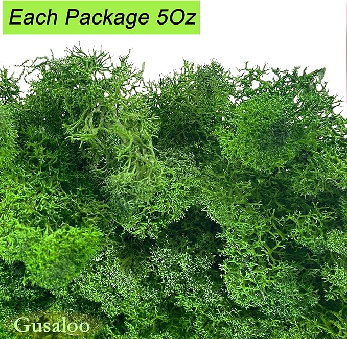 Preserved 5oz Moss Artificial Moss Natural Fresh Green Moss for Craft Handicraft Arts Floral Project Wall Decor Table Decor Wedding Centerpieces Garden Terrariums Decoration-MIdGreen