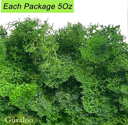 Preserved 5oz Moss Artificial Moss Natural Fresh Green Moss for Craft Handicraft Arts Floral Project Wall Decor Table Decor Wedding Centerpieces Garden Terrariums Decoration-MIdGreen