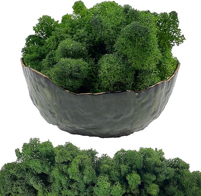 Moss Preserved Artificial Moss 8.8 oz Natural Fresh Green Moss for Craft Arts Floral Project Wall Decor Table Decor Wedding Centerpieces Garden Terrariums Decoration