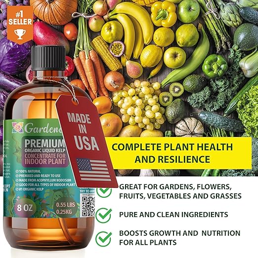 GARDENERA Premium Organic Seaweed & Kelp Superfood for Money Tree Plants - 32 oz - Liquid Kelp Fertilizer Concentrate (Makes 180 Gallons)
