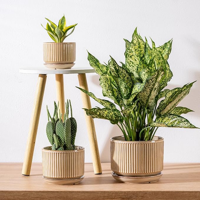 Beige Ceramic Planter Set of 3, Indoor Plant Pots with Drainage Hole, Saucer & Mesh Pads, Ceramic Striped Decorative Plant Pots for Indoor Plants, Garden Pots, Outdoor and Indoors Planters (Beige)