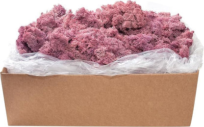 SuperMoss (21791) Reindeer Moss – Soft Preserved Moss for Home Decor, Crafts, Terrariums, Floral Design, and Wedding Decorations, 2,588 cu in, Dusty Rose